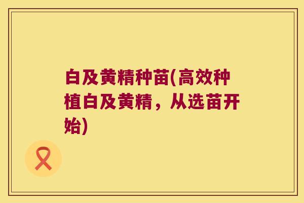 白及黄精种苗(高效种植白及黄精，从选苗开始)