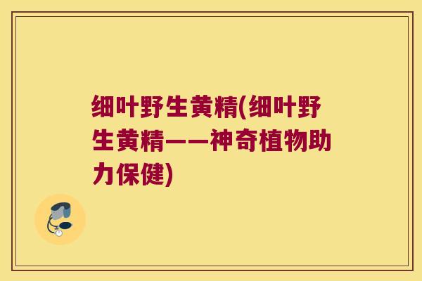 细叶野生黄精(细叶野生黄精——神奇植物助力保健)