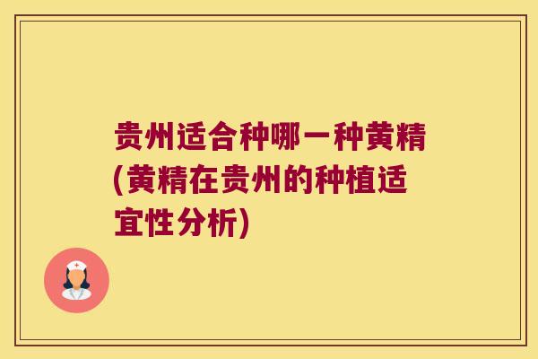 贵州适合种哪一种黄精(黄精在贵州的种植适宜性分析)