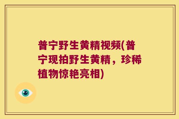 普宁野生黄精视频(普宁现拍野生黄精，珍稀植物惊艳亮相)