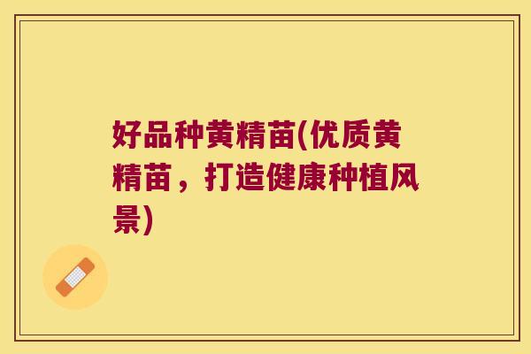 好品种黄精苗(优质黄精苗,打造健康种植风景) 好品种黄精苗(优质黄精苗,打造健康种植风景)