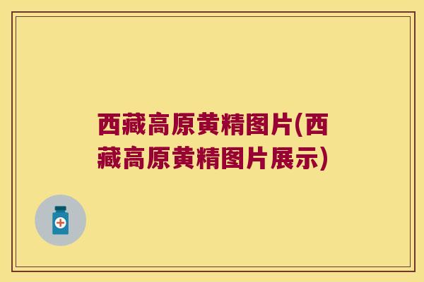 西藏高原黄精图片(西藏高原黄精图片展示) 西藏高原黄精图片(西藏高原黄精图片展示)