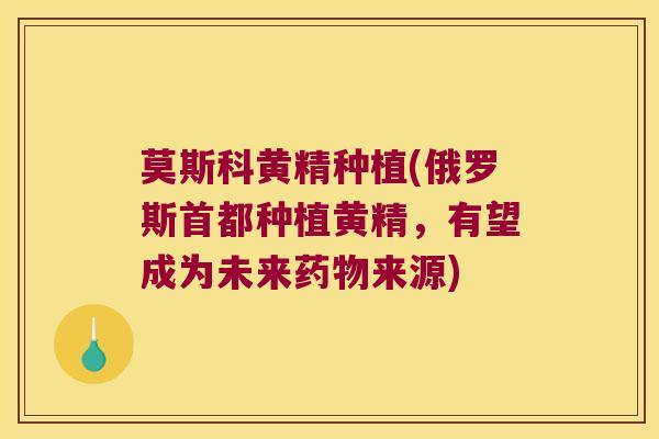莫斯科黄精种植(俄罗斯首都种植黄精,有望成为未来来源) 莫斯科黄精种植(俄罗斯首都种植黄精,有望成为未来来源)