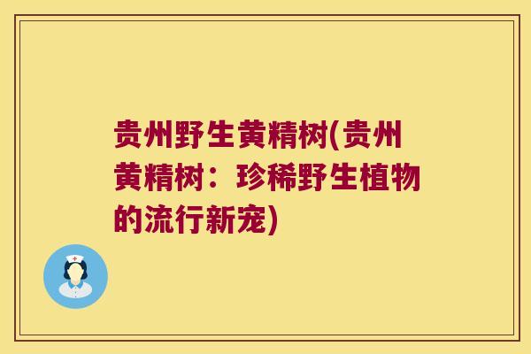 贵州野生黄精树(贵州黄精树：珍稀野生植物的流行新宠)