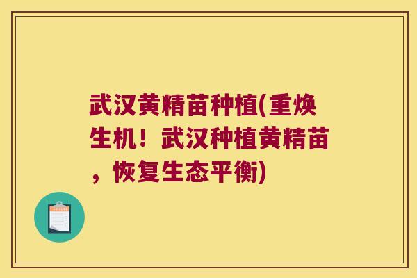 武汉黄精苗种植(重焕生机！武汉种植黄精苗，恢复生态平衡)