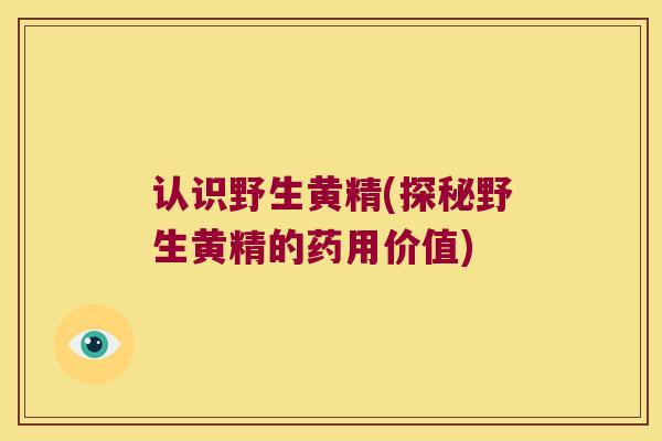 认识野生黄精(探秘野生黄精的药用价值)