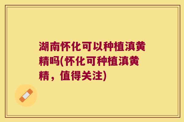 湖南怀化可以种植滇黄精吗(怀化可种植滇黄精，值得关注)