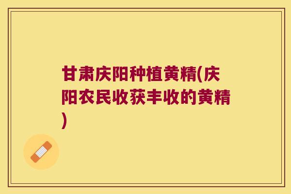 甘肃庆阳种植黄精(庆阳农民收获丰收的黄精) 甘肃庆阳种植黄精(庆阳农民收获丰收的黄精)