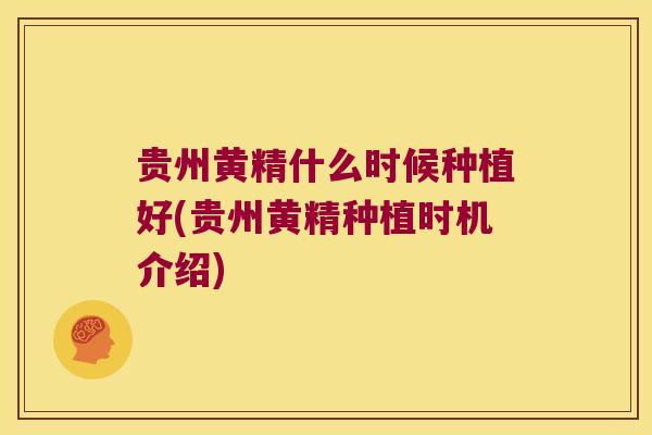 贵州黄精什么时候种植好(贵州黄精种植时机介绍) 贵州黄精什么时候种植好(贵州黄精种植时机介绍)