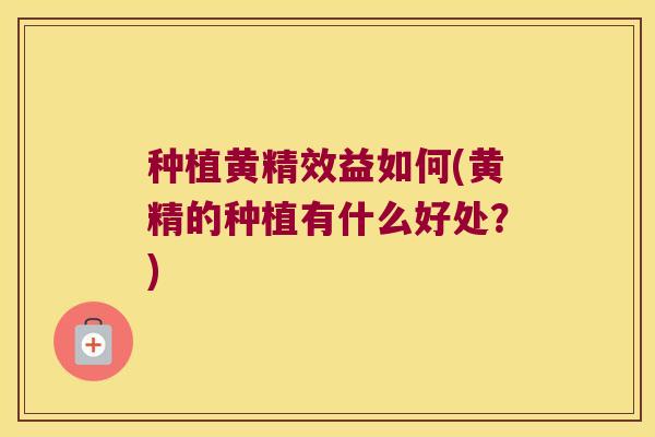 种植黄精效益如何(黄精的种植有什么好处?) 种植黄精效益如何(黄精的种植有什么好处?)