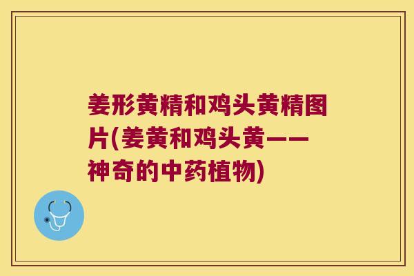 姜形黄精和鸡头黄精图片(姜黄和鸡头黄——神奇的植物) 姜形黄精和鸡头黄精图片(姜黄和鸡头黄——神奇的植物)