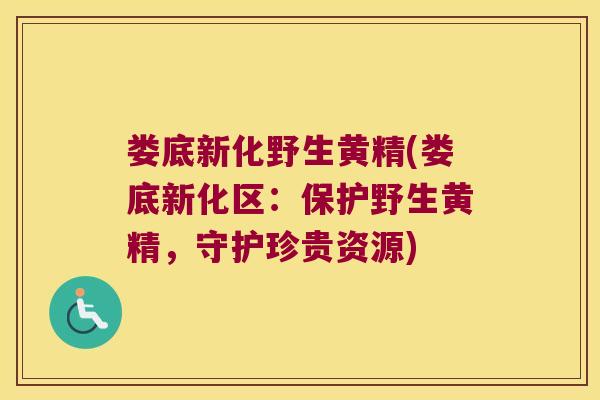 娄底新化野生黄精(娄底新化区：保护野生黄精，守护珍贵资源)
