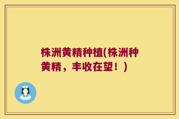 株洲黄精种植(株洲种黄精，丰收在望！)