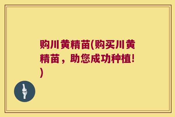 购川黄精苗(购买川黄精苗，助您成功种植!)