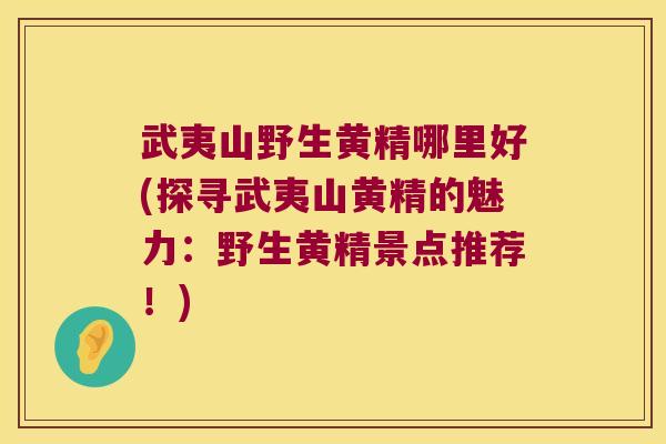 武夷山野生黄精哪里好(探寻武夷山黄精的魅力：野生黄精景点推荐！)