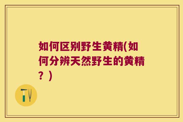 如何区别野生黄精(如何分辨天然野生的黄精?) 如何区别野生黄精(如何分辨天然野生的黄精?)