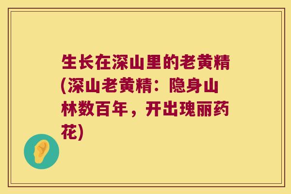 生长在深山里的老黄精(深山老黄精：隐身山林数百年，开出瑰丽药花)