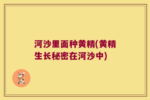 河沙里面种黄精(黄精生长秘密在河沙中) 河沙里面种黄精(黄精生长秘密在河沙中)