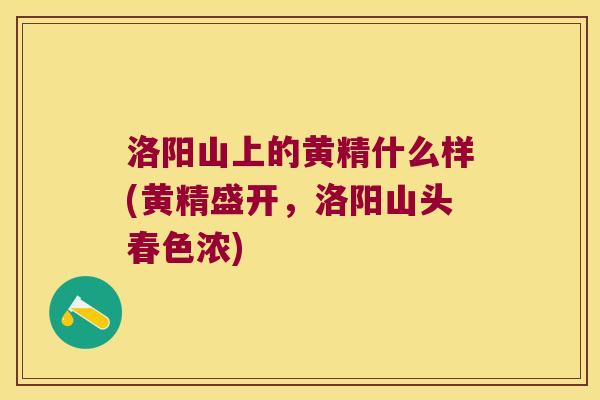 洛阳山上的黄精什么样(黄精盛开,洛阳山头春色浓) 洛阳山上的黄精什么样(黄精盛开,洛阳山头春色浓)
