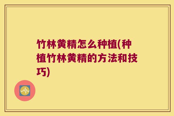 竹林黄精怎么种植(种植竹林黄精的方法和技巧) 竹林黄精怎么种植(种植竹林黄精的方法和技巧)