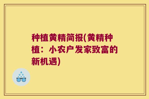 种植黄精简报(黄精种植：小农户发家致富的新机遇)