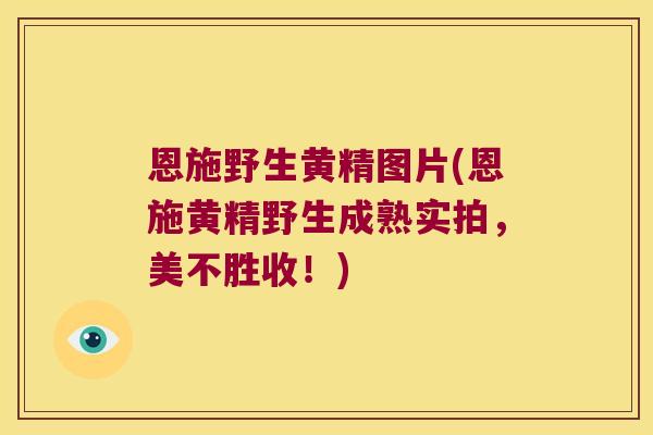 恩施野生黄精图片(恩施黄精野生成熟实拍,美不胜收!) 恩施野生黄精图片(恩施黄精野生成熟实拍,美不胜收!)