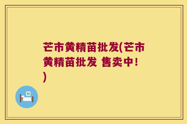 芒市黄精苗批发(芒市黄精苗批发 售卖中!) 芒市黄精苗批发(芒市黄精苗批发 售卖中!)