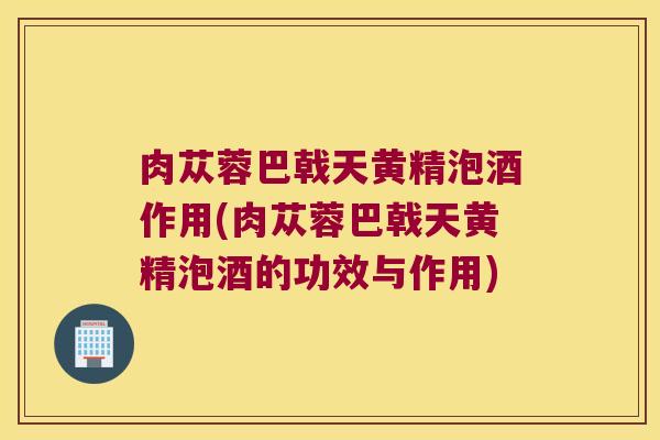 肉苁蓉巴戟天黄精泡酒作用(肉苁蓉巴戟天黄精泡酒的功效与作用)
