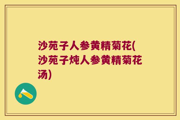 沙苑子人参黄精菊花(沙苑子炖人参黄精菊花汤)
