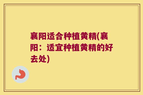 襄阳适合种植黄精(襄阳:适宜种植黄精的好去处) 襄阳适合种植黄精(襄阳:适宜种植黄精的好去处)