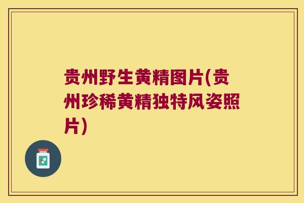 贵州野生黄精图片(贵州珍稀黄精独特风姿照片)