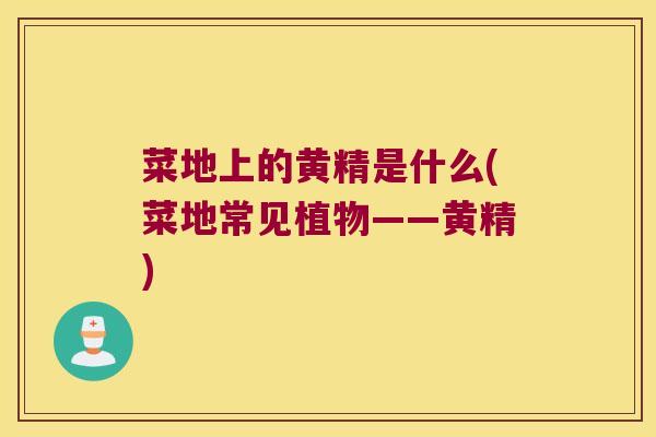 菜地上的黄精是什么(菜地常见植物——黄精) 菜地上的黄精是什么(菜地常见植物——黄精)
