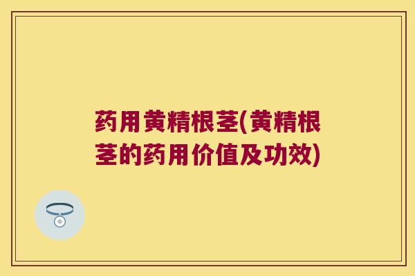 药用黄精根茎(黄精根茎的药用价值及功效)