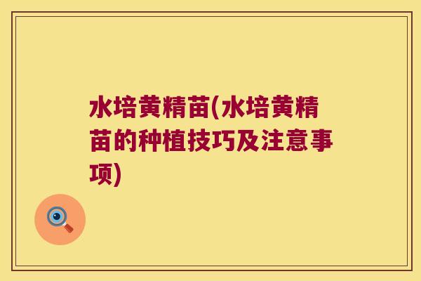 水培黄精苗(水培黄精苗的种植技巧及注意事项) 水培黄精苗(水培黄精苗的种植技巧及注意事项)