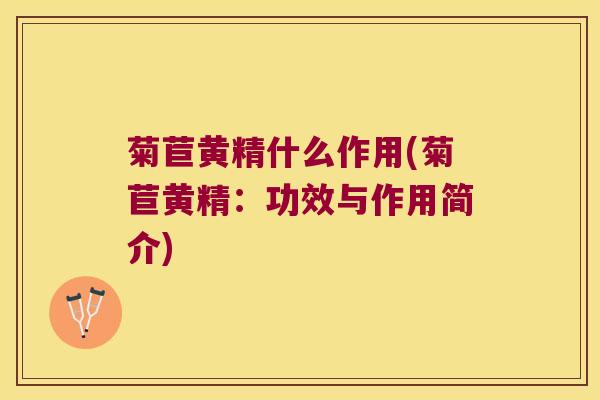 菊苣黄精什么作用(菊苣黄精:功效与作用简介) 菊苣黄精什么作用(菊苣黄精:功效与作用简介)