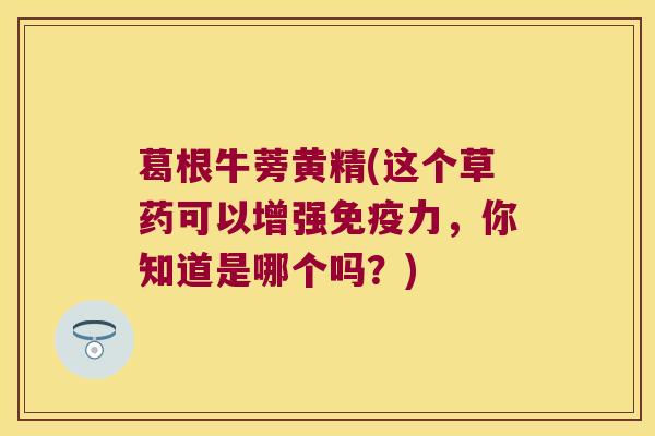葛根牛蒡黄精(这个草药可以增强力，你知道是哪个吗？)