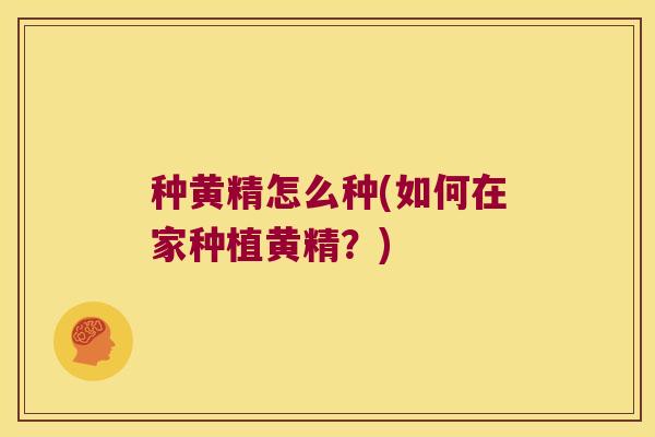 种黄精怎么种(如何在家种植黄精？)