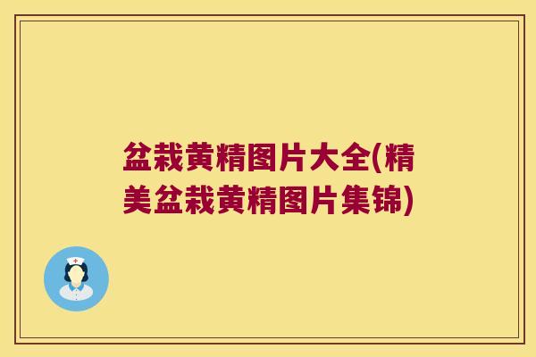 盆栽黄精图片大全(精美盆栽黄精图片集锦) 盆栽黄精图片大全(精美盆栽黄精图片集锦)