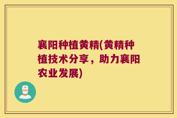 襄阳种植黄精(黄精种植技术分享，助力襄阳农业发展)