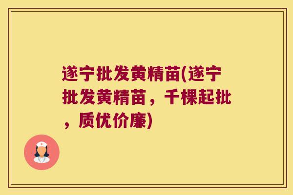 遂宁批发黄精苗(遂宁批发黄精苗，千棵起批，质优价廉)