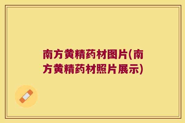 南方黄精药材图片(南方黄精药材照片展示)