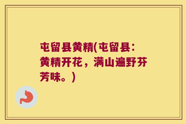 屯留县黄精(屯留县：黄精开花，满山遍野芬芳味。)