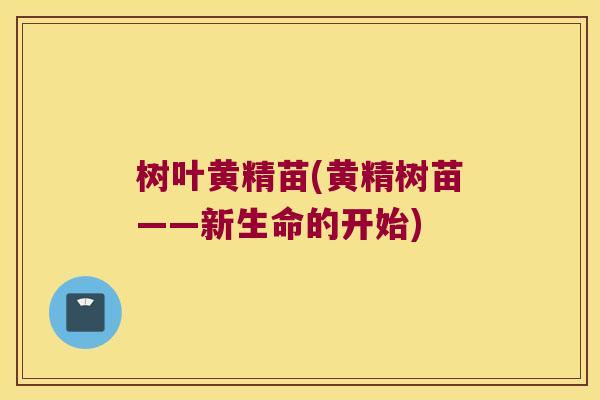树叶黄精苗(黄精树苗——新生命的开始) 树叶黄精苗(黄精树苗——新生命的开始)