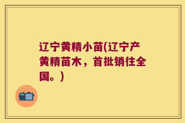 辽宁黄精小苗(辽宁产黄精苗木,首批销往全国。) 辽宁黄精小苗(辽宁产黄精苗木,首批销往全国。)