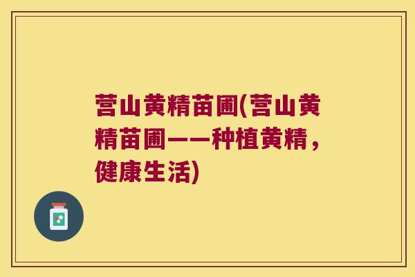 营山黄精苗圃(营山黄精苗圃——种植黄精，健康生活)