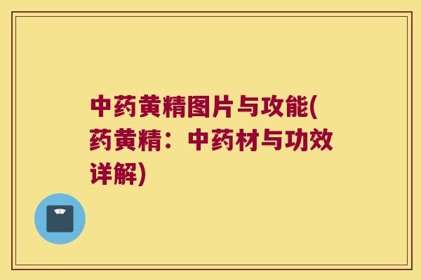 黄精图片与攻能(药黄精:材与功效详解) 黄精图片与攻能(药黄精:材与功效详解)