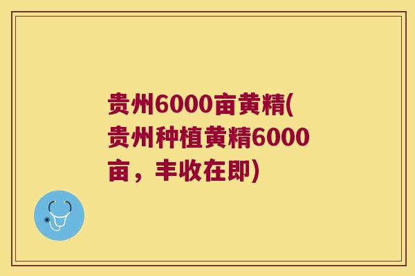 贵州6000亩黄精(贵州种植黄精6000亩,丰收在即) 贵州6000亩黄精(贵州种植黄精6000亩,丰收在即)