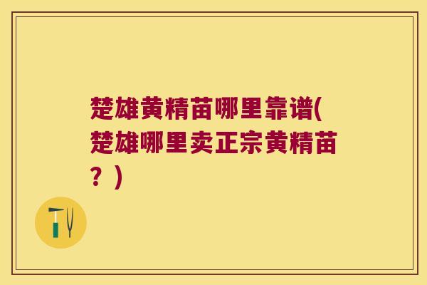楚雄黄精苗哪里靠谱(楚雄哪里卖正宗黄精苗？)