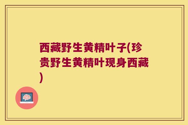 西藏野生黄精叶子(珍贵野生黄精叶现身西藏)