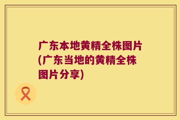 广东本地黄精全株图片(广东当地的黄精全株图片分享)